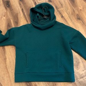 Gap hoodie. (Never worn) Lined for extra warmth